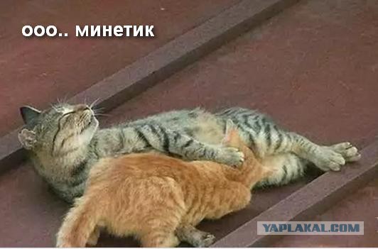 Почему нельзя общаться с бывшими