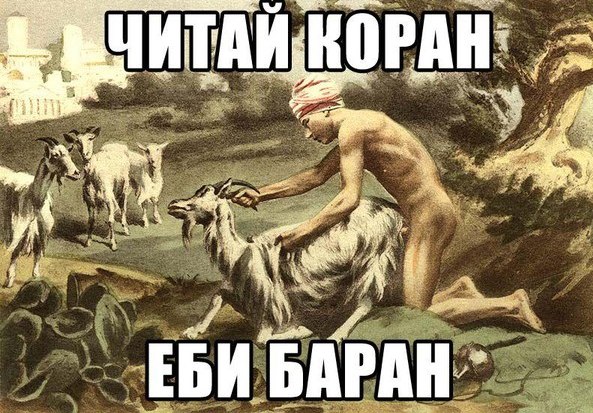 Веселые картинки