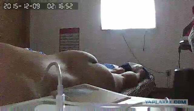 За что я люблю китайцев