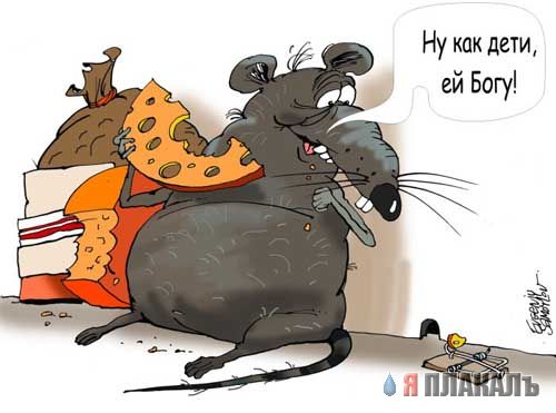 КАРИКАТУРЫ. Прикольные карикатуры