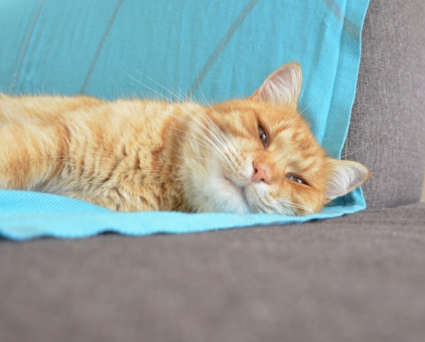 Подборка картинок