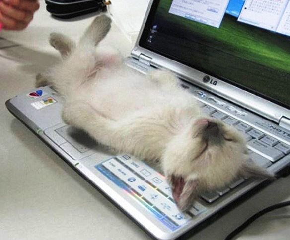 Подборка интересных и веселых картинок