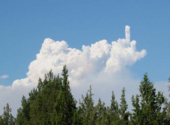 Случайно созданные шедевры