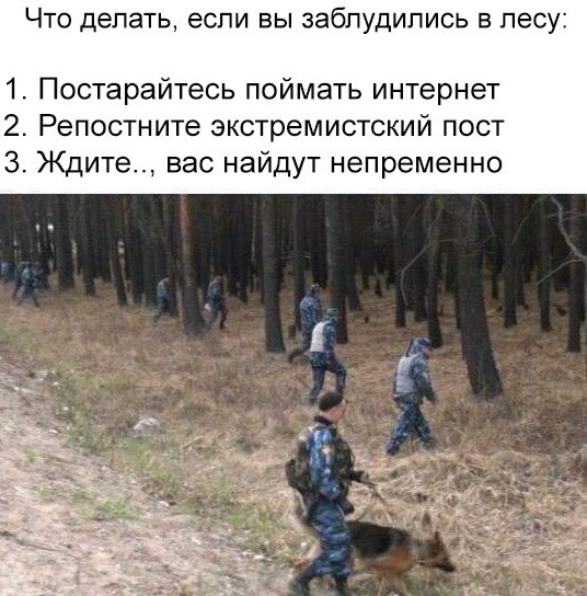Картинки и приколы из сети, для поднятия настроения=)
