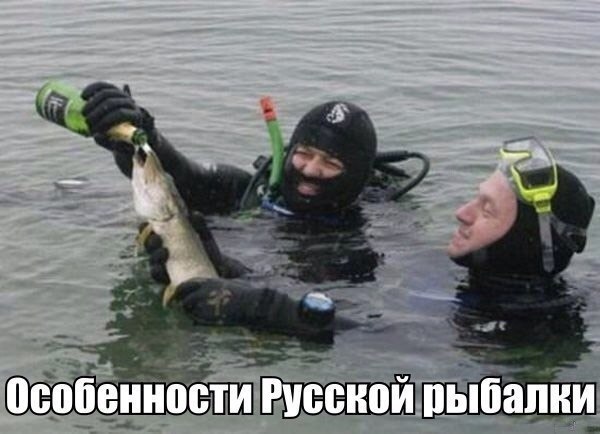 Порция абсурдного юмора на следующую неделю