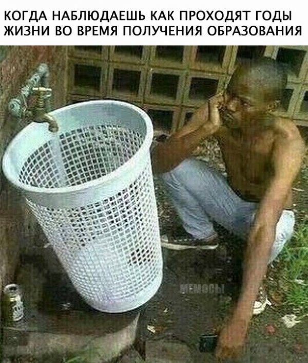 Приколы в стиле "регресс"