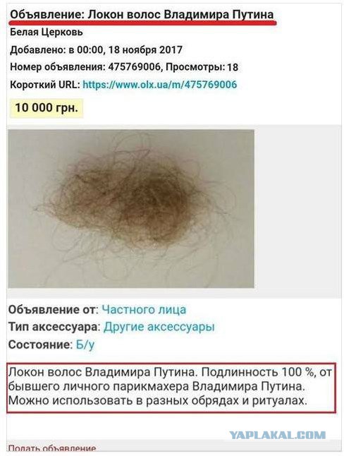 Смешные комментарии из социальных сетей 24.11.2017