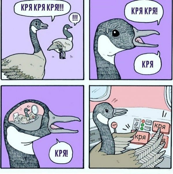 Футбольный клуб. РФПЛ,КР, ЛЧ, ЛЕ 2017-2018