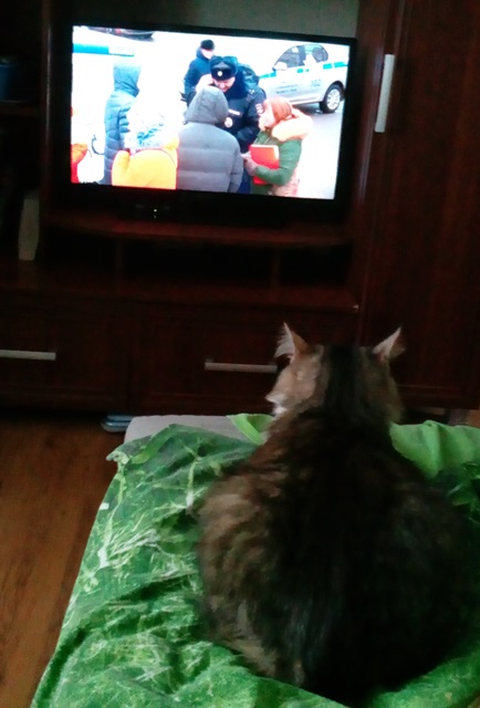 Запилю-ка я картинок