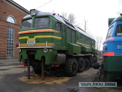 Волга TRASH