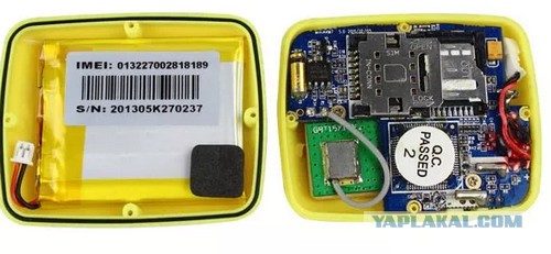 Основателю сервиса доставки еды в Москве грозит уголовное дело из-за GPS-трекеров с AliExpress для курьеров