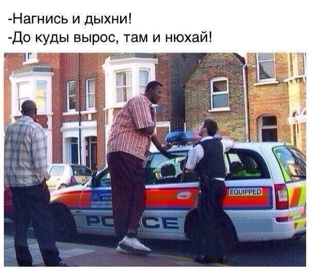 Прикольные картинки абавсём