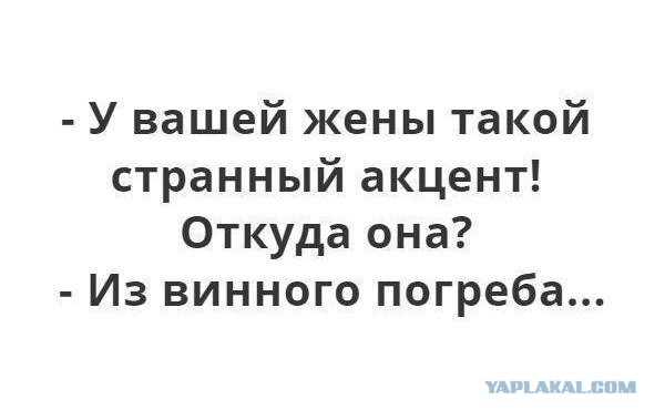 Прикольные комментарии и высказывания из Сети 24.10.2018