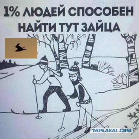 Кого вы увидите первым? Самый точный тест точно определит ваш характер