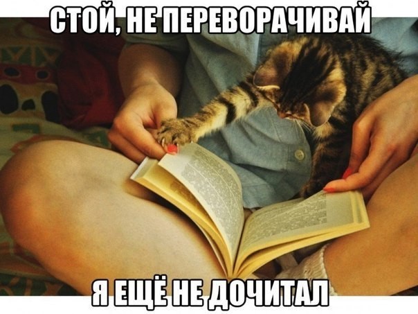 Немного картинок для настроения