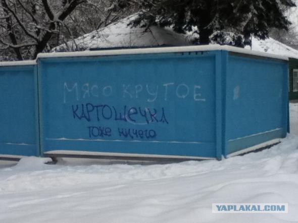 «Бродячие» философы: 17 глубокомысленных заметок в транспорте и на улицах
