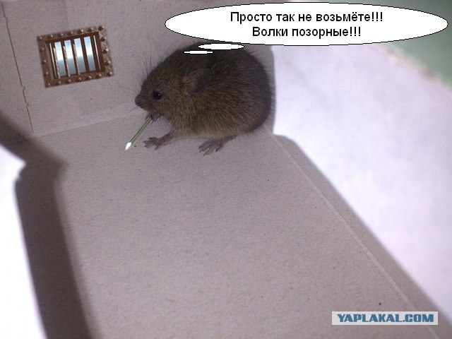 Теперь ты с нами