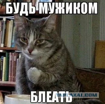Я достойна большего!  Считают женщины