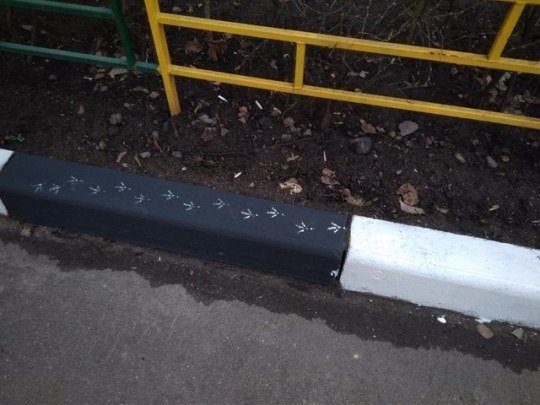 WTF: что тут происходит?