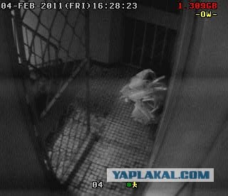 Необъяснимые явления