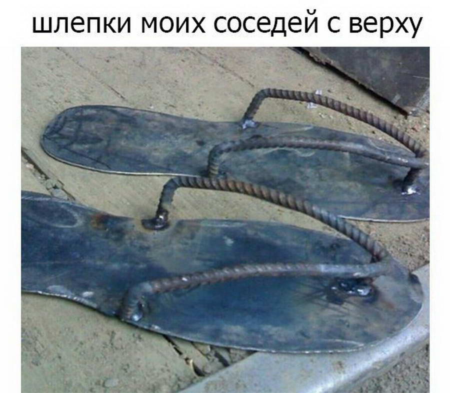 13191751.jpg
