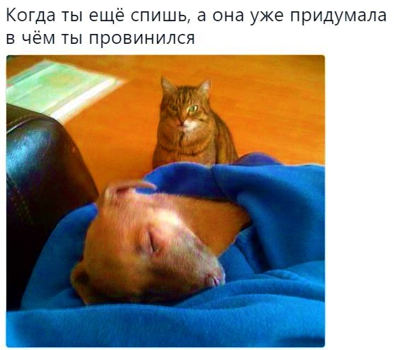 Калейдоскоп Картинок