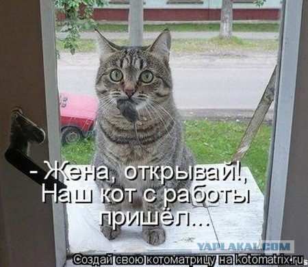 Разлеталась она тут