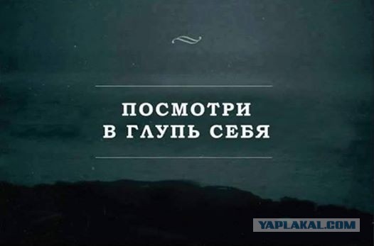Мир овощей победил