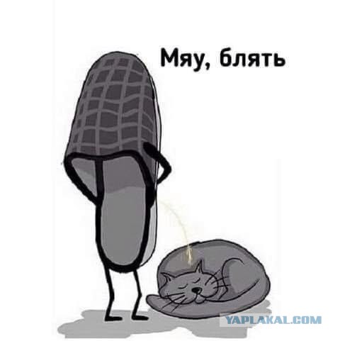 Так себе картинки #11