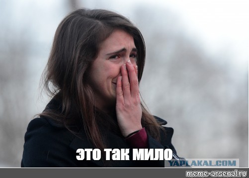 Минутка добрых новостей: неравнодушные москвичи построили лестницу для утят на Гольяновском пруду