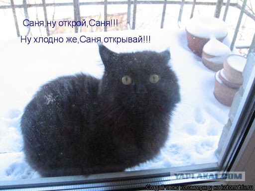 Что говорят мужчины о пышных женщинах