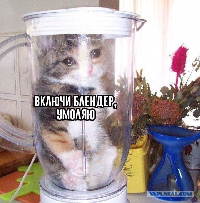 Фотки и картинки: юморные и красивые, забавные и милые 21.09.20