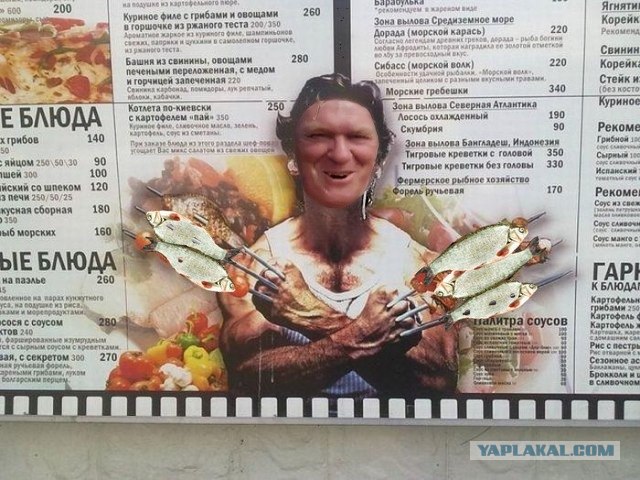 Подработка Росомахи