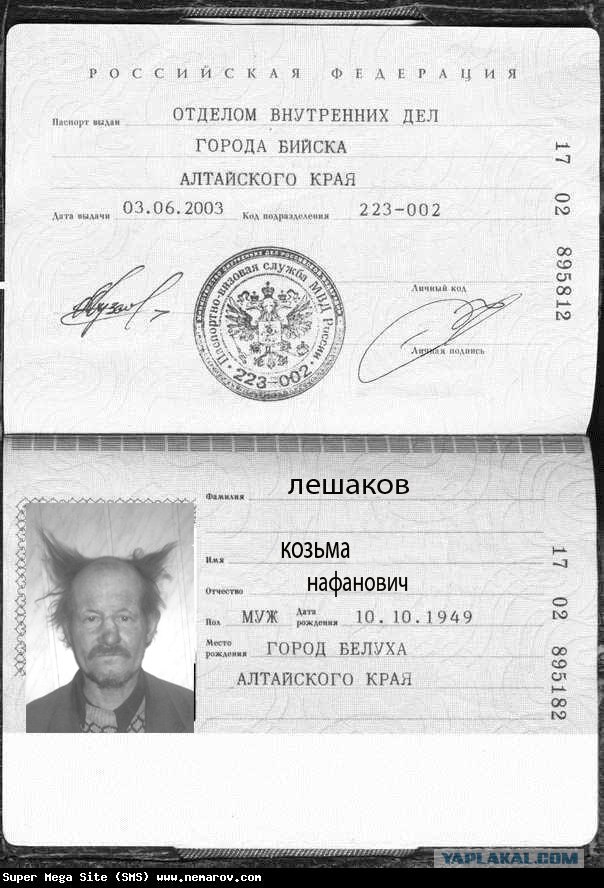Домовенок...
