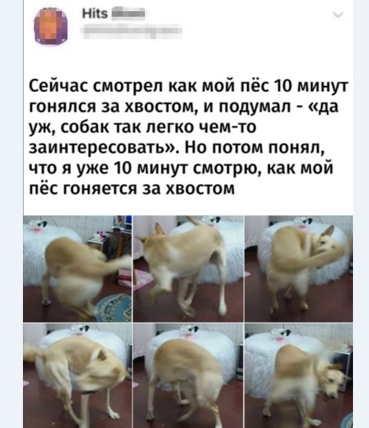 Картинки и мемы для настроения 019