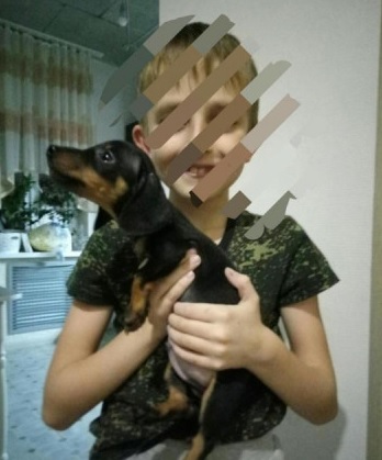 22 фото, доказывающих, что для счастья ребёнку нужна собака, а если вы думаете иначе, то вы точно кошка