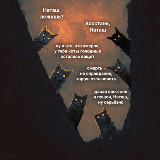 Картинки с надписями и котами