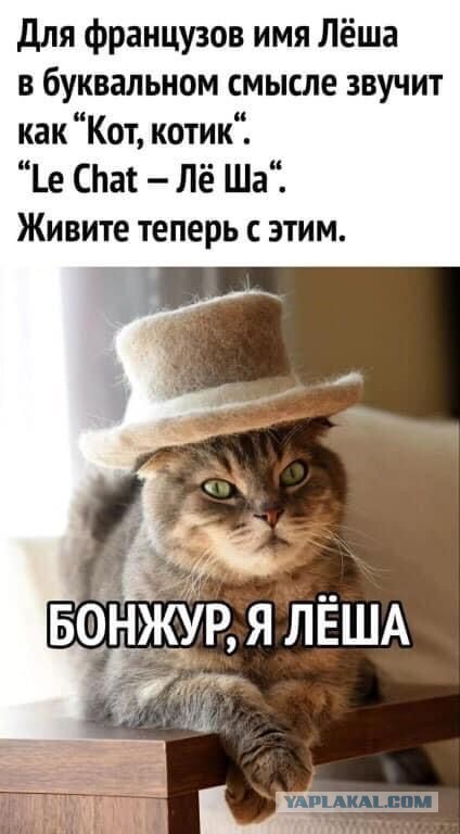 Картинки с надписями и всякие жизненные фразы