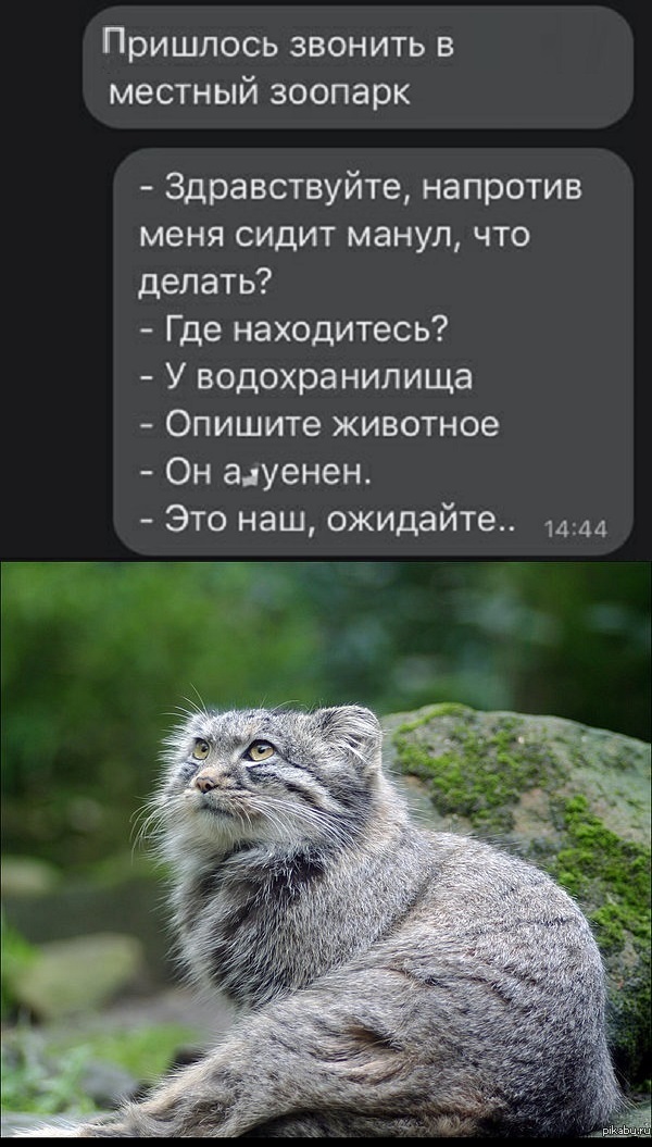 Картинки с надписями и всякие жизненные фразы
