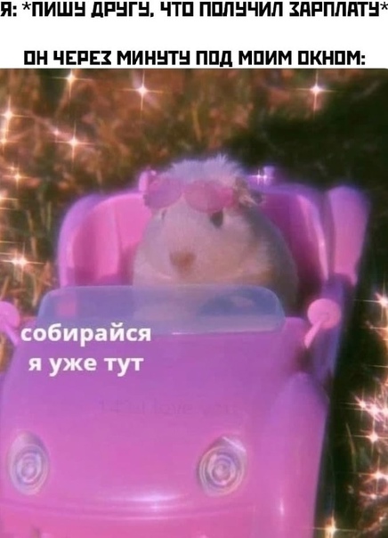Алкопост 13.05.21