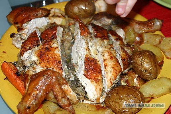 Курочка набитая.