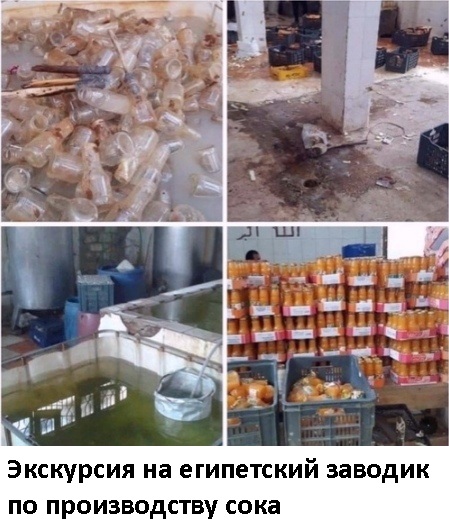 Так себе картинки 11.08.21