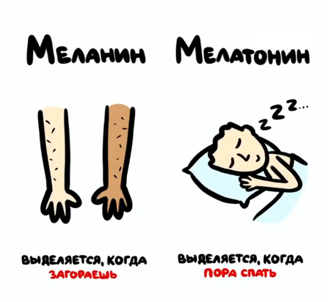 А может вы не знали...