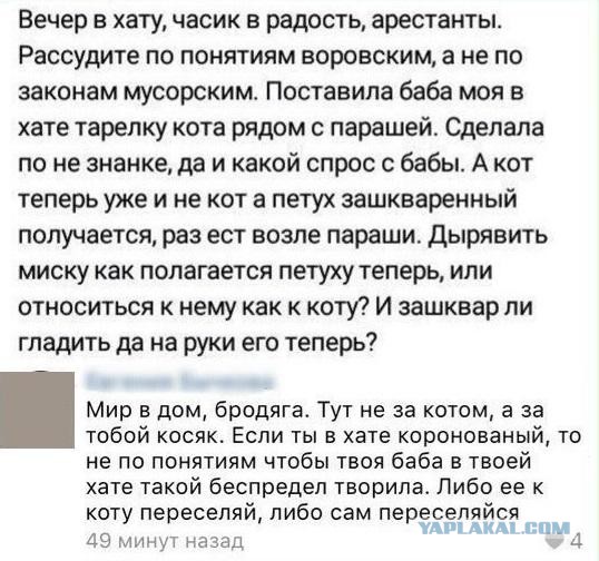 Реформы на зоне