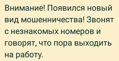 Весёлый полтишок 10.01