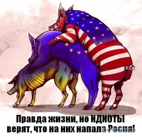 CNN: из-за теплой погоды и распутицы Россия не сможет вторгнуться на Украину 16 февраля