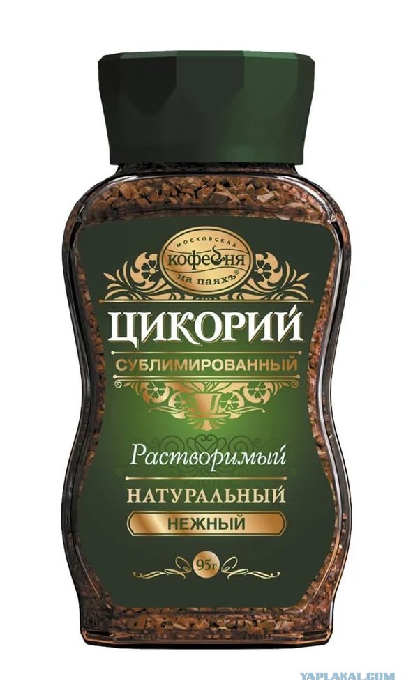 Цикорий