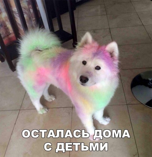 Немного картинок."Колбасный ветер". Август
