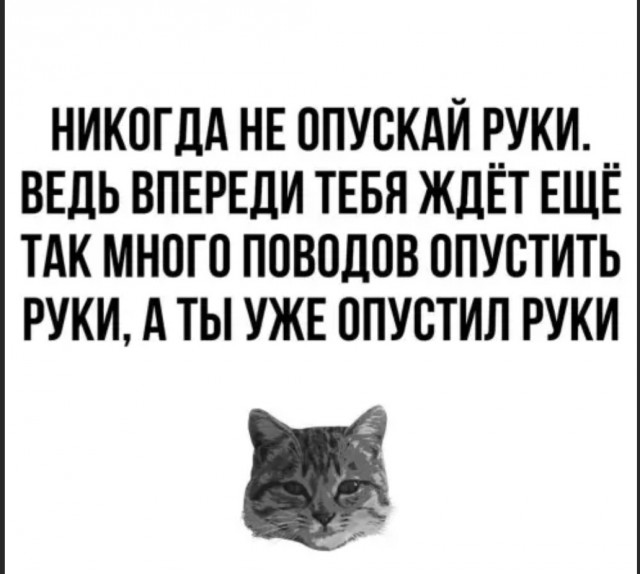 Так себе картинки 06.10.22