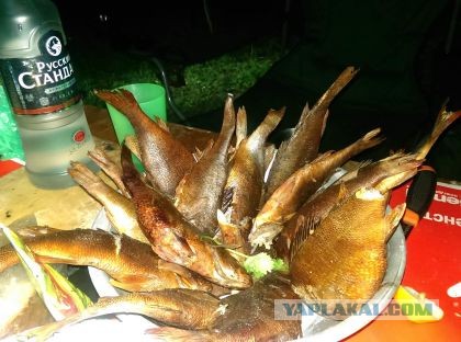А я на рыбалке